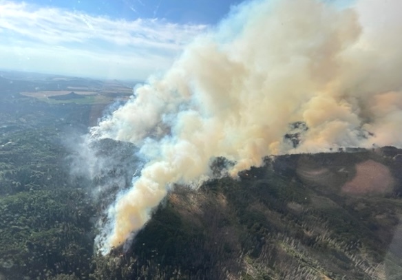 Waldbrand Winterberggebiet