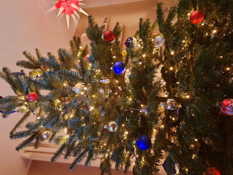 Weihnachtsbaum