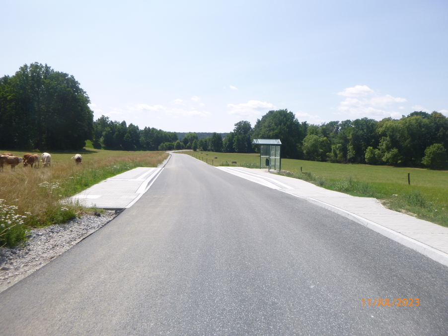 Straße mit neu gebauter Bushaltestelle und Wiese an den Seiten