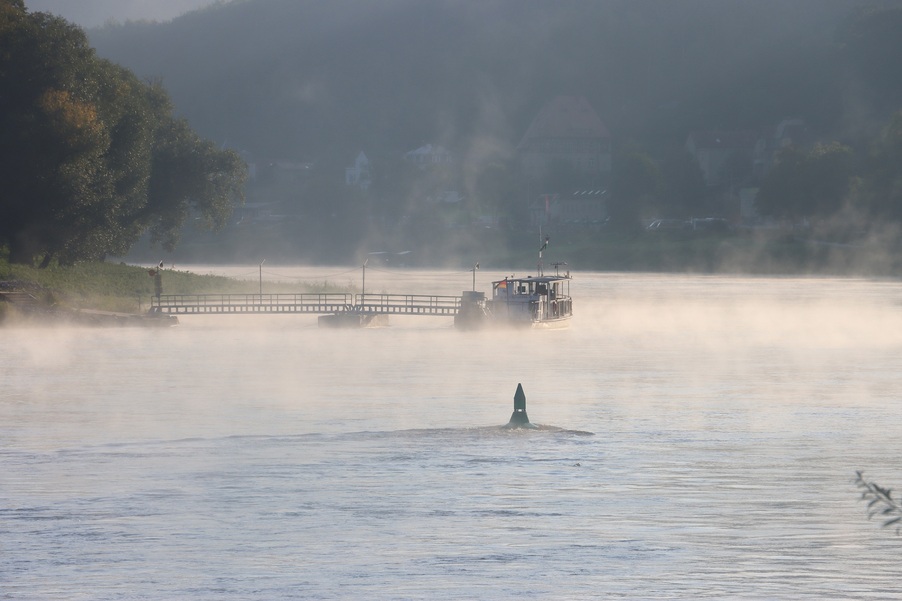 Foto von der Elbe