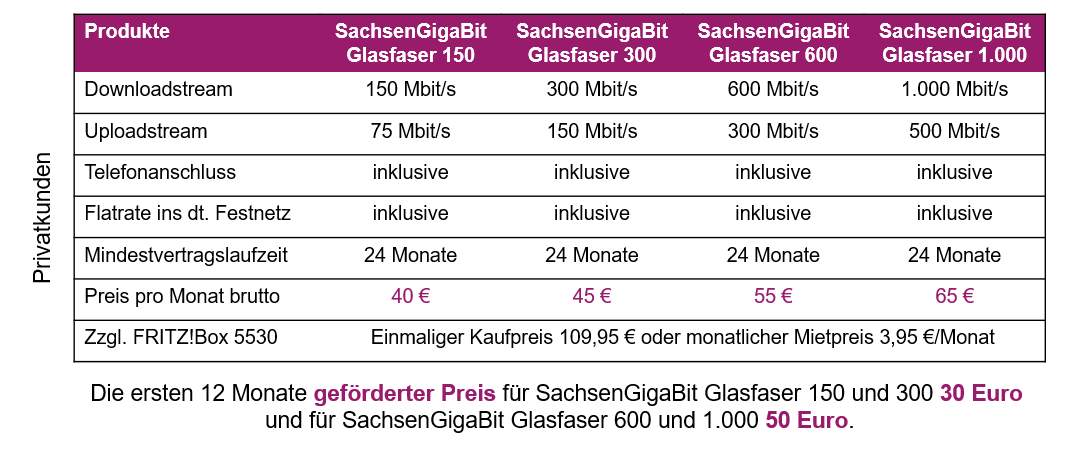 Tarife und Preise SachsenEnergie AG