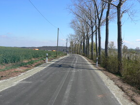 Sicht auf eine Straße im Sonnenschein mit Baum an Seite