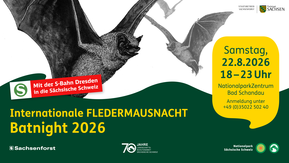Informationsflyer mit Fledermaus und Text "Internationale Fledermausnacht Batnight 2026"