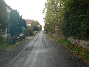 feuchte Straße in Ortschaft mit Bäumen und Häusern