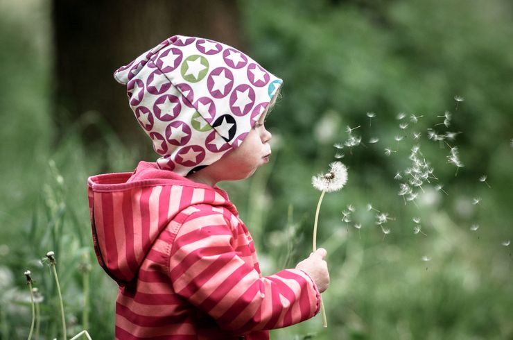 Abbildung eines Kindes mit Pusteblume