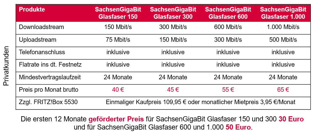 Tarife und Preise SachsenEnergie AG