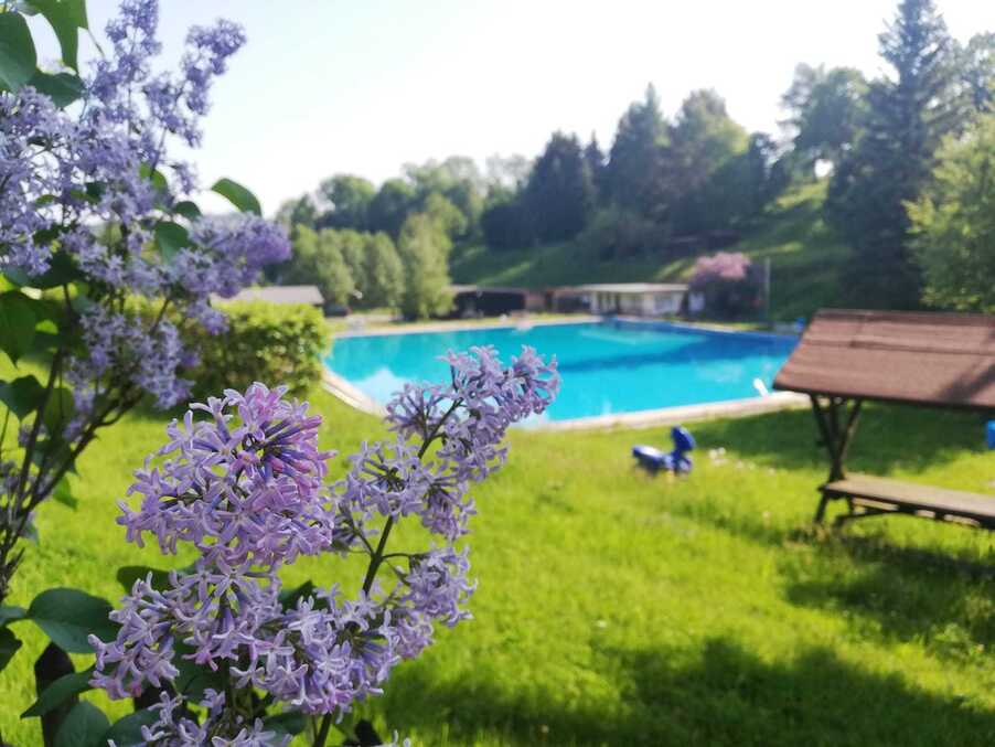Flieder im Vordergrund, dahinter ein Pool und Wiese