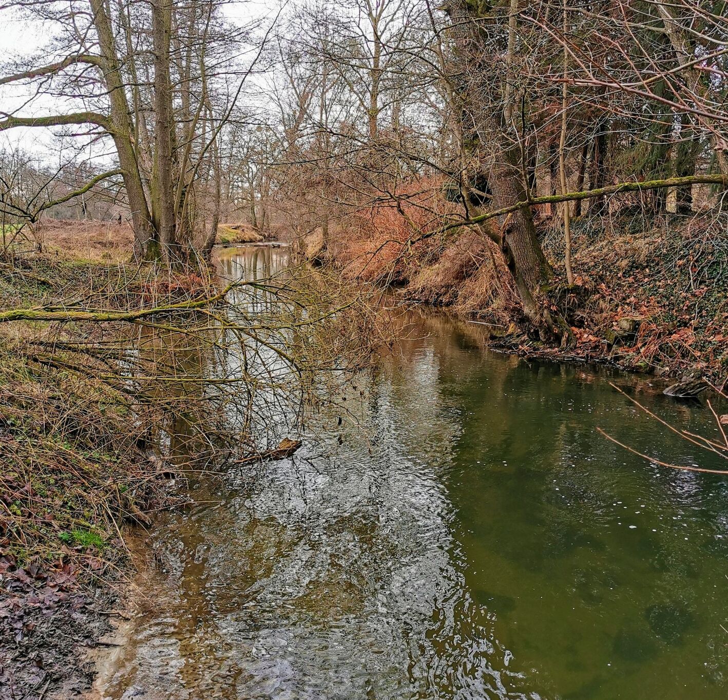 Wesenitz unterhalb der Dietzmühle