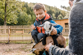 Foto aus Wildpark Geising