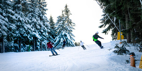 Foto Wintersport Altenberg