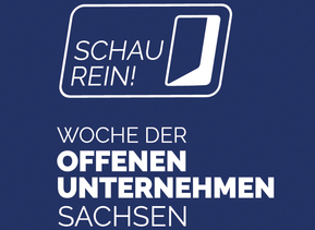 Logo Schau Rein