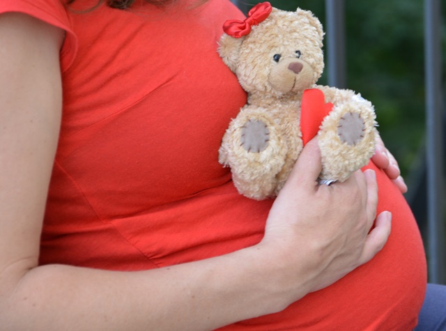 Torso einer schwangeren Frau mit Kuscheltier vor Bauch