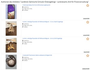 Website Bild der Zoll-Auktion